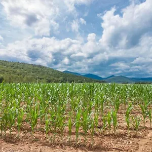 La Cabanya Planella Сasa de vacaciones La Vall de Bianya